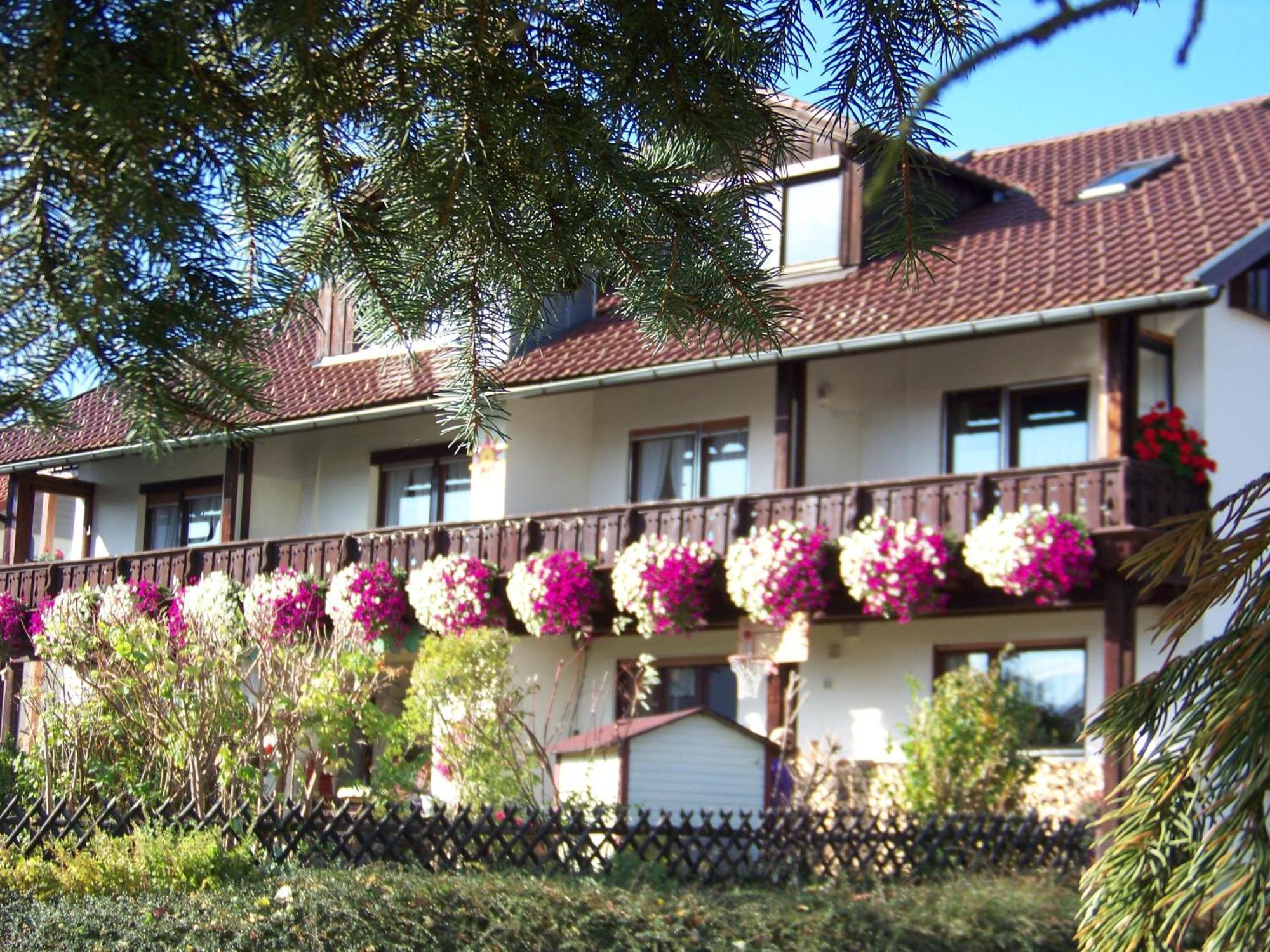 Pension Erna Цвизель Экстерьер фото